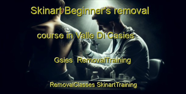 Skinart Beginner's removal course in Valle Di Casies   Gsies | #RemovalTraining #RemovalClasses #SkinartTraining-Italy