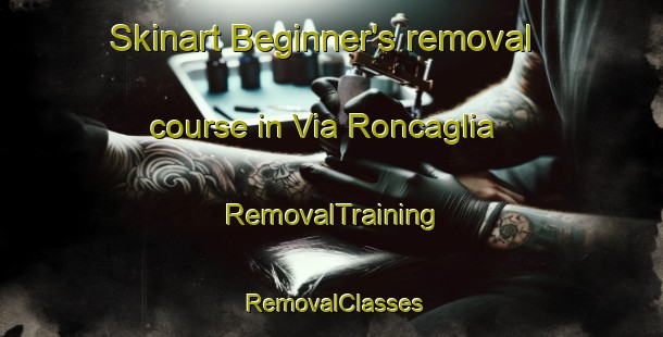 Skinart Beginner's removal course in Via Roncaglia | RemovalTraining | RemovalClasses | SkinartTraining-Italy