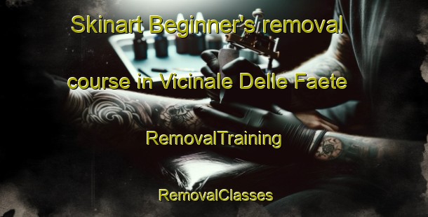 Skinart Beginner's removal course in Vicinale Delle Faete | RemovalTraining | RemovalClasses | SkinartTraining-Italy