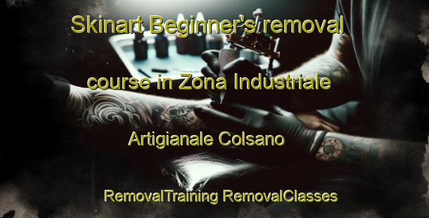 Skinart Beginner's removal course in Zona Industriale Artigianale Colsano | #RemovalTraining #RemovalClasses #SkinartTraining-Italy