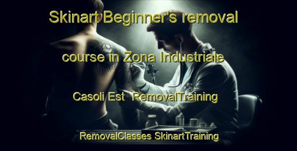 Skinart Beginner's removal course in Zona Industriale Casoli Est | #RemovalTraining #RemovalClasses #SkinartTraining-Italy