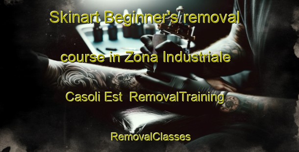 Skinart Beginner's removal course in Zona Industriale Casoli Est | RemovalTraining | RemovalClasses | SkinartTraining-Italy