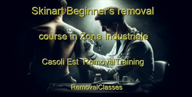 Skinart Beginner's removal course in Zona Industriale Casoli Est | RemovalTraining | RemovalClasses | SkinartTraining-Italy