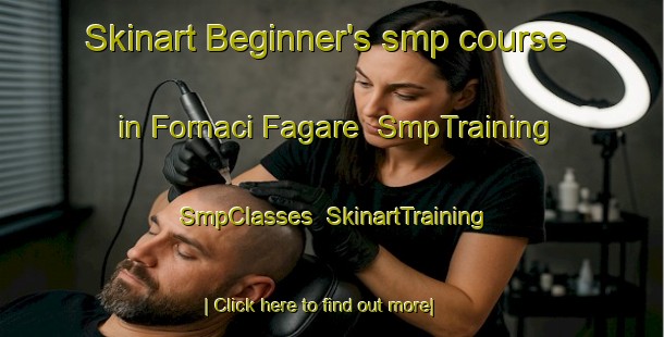 Skinart Beginner's smp course in Fornaci Fagare | SmpTraining | SmpClasses | SkinartTraining-Italy