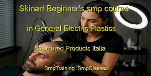 Skinart Beginner's smp course in General Electric Plastics Structured Products Italia | SmpTraining | SmpClasses | SkinartTraining-Italy