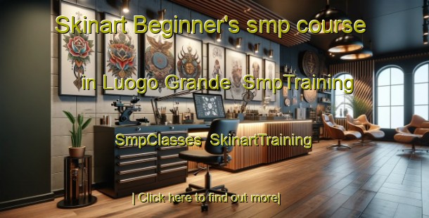 Skinart Beginner's smp course in Luogo Grande | SmpTraining | SmpClasses | SkinartTraining-Italy