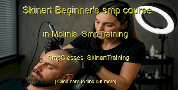 Skinart Beginner's smp course in Molinis | SmpTraining | SmpClasses | SkinartTraining-Italy