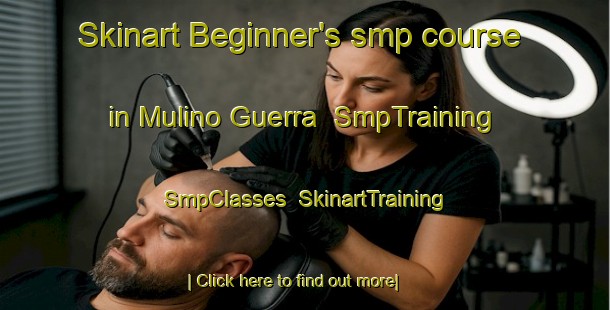 Skinart Beginner's smp course in Mulino Guerra | SmpTraining | SmpClasses | SkinartTraining-Italy