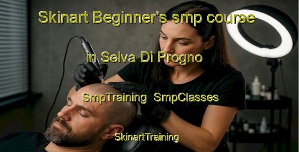 Skinart Beginner's smp course in Selva Di Progno | SmpTraining | SmpClasses | SkinartTraining-Italy