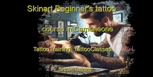 Skinart Beginner's tattoo course in Camoneone | TattooTraining | TattooClasses | SkinartTraining-Italy