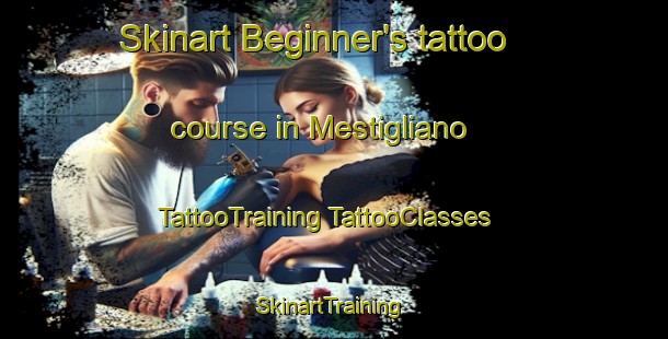 Skinart Beginner's tattoo course in Mestigliano | #TattooTraining #TattooClasses #SkinartTraining-Italy