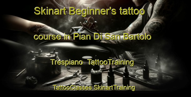 Skinart Beginner's tattoo course in Pian Di San Bartolo Trespiano | #TattooTraining #TattooClasses #SkinartTraining-Italy