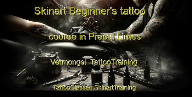 Skinart Beginner's tattoo course in Pracul Limes Vermongoi | #TattooTraining #TattooClasses #SkinartTraining-Italy