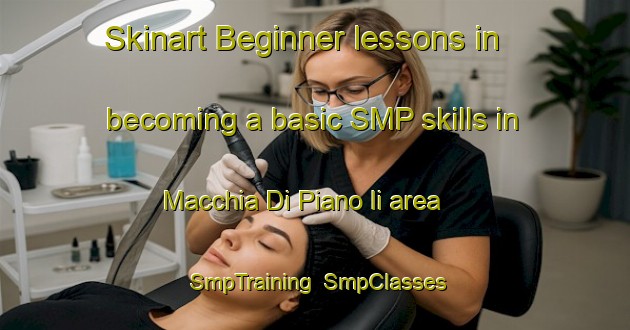 Skinart Beginner lessons in becoming a basic SMP skills in Macchia Di Piano Ii area | SmpTraining | SmpClasses | SkinartTraining-Italy