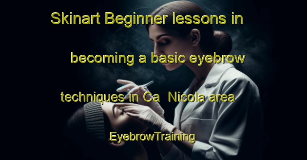 Skinart Beginner lessons in becoming a basic eyebrow techniques in Ca  Nicola area | EyebrowTraining | EyebrowClasses | SkinartTraining-Italy