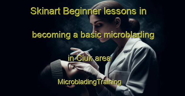 Skinart Beginner lessons in becoming a basic microblading in Ciuk area | MicrobladingTraining | MicrobladingClasses | SkinartTraining-Italy
