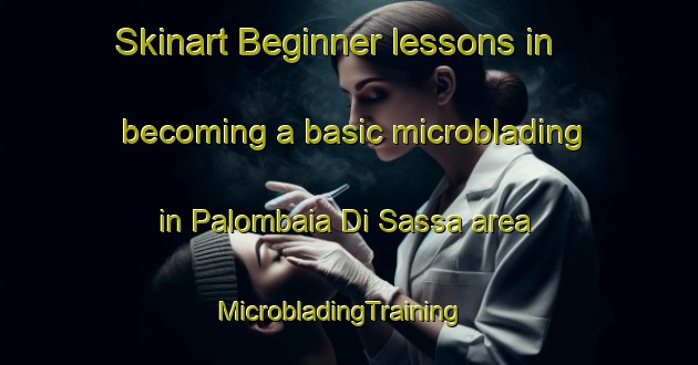 Skinart Beginner lessons in becoming a basic microblading in Palombaia Di Sassa area | MicrobladingTraining | MicrobladingClasses | SkinartTraining-Italy