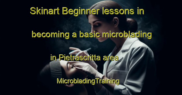 Skinart Beginner lessons in becoming a basic microblading in Pietrascritta area | MicrobladingTraining | MicrobladingClasses | SkinartTraining-Italy