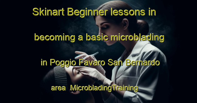 Skinart Beginner lessons in becoming a basic microblading in Poggio Favaro San Bernardo area | MicrobladingTraining | MicrobladingClasses | SkinartTraining-Italy