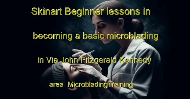 Skinart Beginner lessons in becoming a basic microblading in Via John Fitzgerald Kennedy area | MicrobladingTraining | MicrobladingClasses | SkinartTraining-Italy