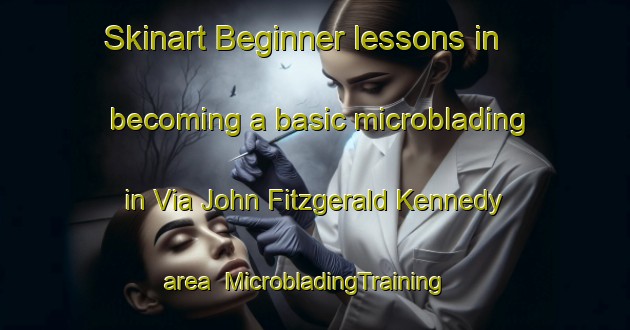 Skinart Beginner lessons in becoming a basic microblading in Via John Fitzgerald Kennedy area | MicrobladingTraining | MicrobladingClasses | SkinartTraining-Italy