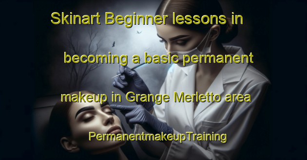 Skinart Beginner lessons in becoming a basic permanent makeup in Grange Merletto area | PermanentmakeupTraining | PermanentmakeupClasses | SkinartTraining-Italy