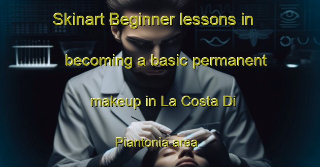 Skinart Beginner lessons in becoming a basic permanent makeup in La Costa Di Piantonia area | PermanentmakeupTraining | PermanentmakeupClasses | SkinartTraining-Italy