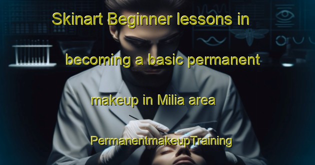 Skinart Beginner lessons in becoming a basic permanent makeup in Milia area | PermanentmakeupTraining | PermanentmakeupClasses | SkinartTraining-Italy