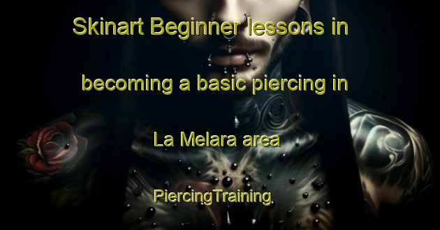 Skinart Beginner lessons in becoming a basic piercing in La Melara area | PiercingTraining | PiercingClasses | SkinartTraining-Italy