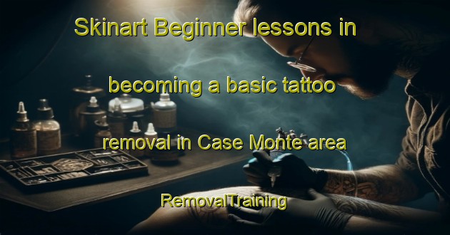 Skinart Beginner lessons in becoming a basic tattoo removal in Case Monte area | RemovalTraining | RemovalClasses | SkinartTraining-Italy