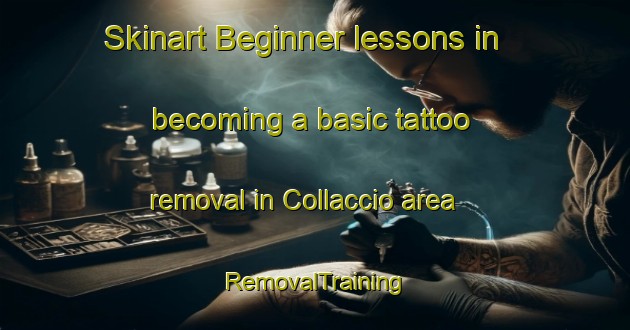 Skinart Beginner lessons in becoming a basic tattoo removal in Collaccio area | RemovalTraining | RemovalClasses | SkinartTraining-Italy