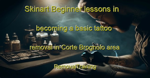Skinart Beginner lessons in becoming a basic tattoo removal in Corte Brognolo area | RemovalTraining | RemovalClasses | SkinartTraining-Italy