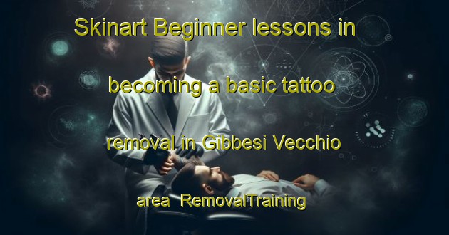 Skinart Beginner lessons in becoming a basic tattoo removal in Gibbesi Vecchio area | RemovalTraining | RemovalClasses | SkinartTraining-Italy