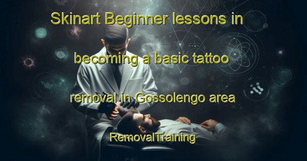 Skinart Beginner lessons in becoming a basic tattoo removal in Gossolengo area | RemovalTraining | RemovalClasses | SkinartTraining-Italy