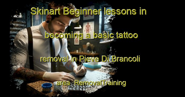Skinart Beginner lessons in becoming a basic tattoo removal in Pieve Di Brancoli area | RemovalTraining | RemovalClasses | SkinartTraining-Italy