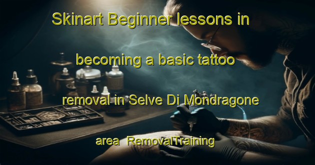 Skinart Beginner lessons in becoming a basic tattoo removal in Selve Di Mondragone area | RemovalTraining | RemovalClasses | SkinartTraining-Italy