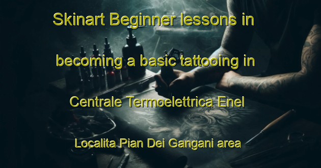 Skinart Beginner lessons in becoming a basic tattooing in Centrale Termoelettrica Enel Localita Pian Dei Gangani area | TattooTraining | TattooClasses | SkinartTraining-Italy