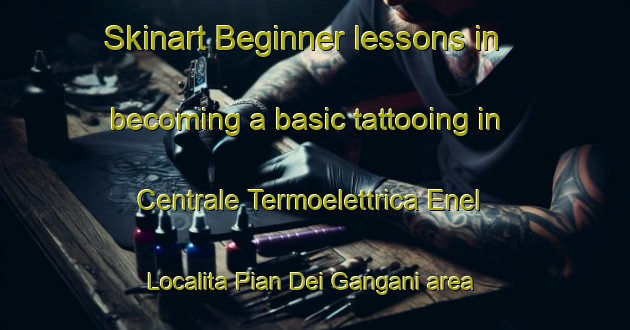 Skinart Beginner lessons in becoming a basic tattooing in Centrale Termoelettrica Enel Localita Pian Dei Gangani area | TattooTraining | TattooClasses | SkinartTraining-Italy