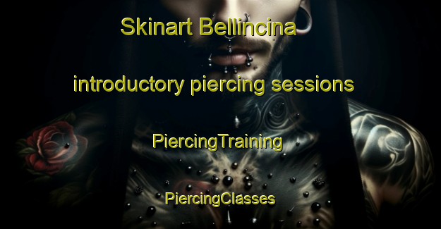 Skinart Bellincina introductory piercing sessions | #PiercingTraining #PiercingClasses #SkinartTraining-Italy