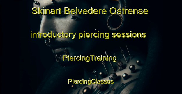 Skinart Belvedere Ostrense introductory piercing sessions | #PiercingTraining #PiercingClasses #SkinartTraining-Italy