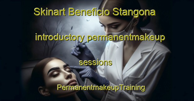 Skinart Beneficio Stangona introductory permanentmakeup sessions | #PermanentmakeupTraining #PermanentmakeupClasses #SkinartTraining-Italy