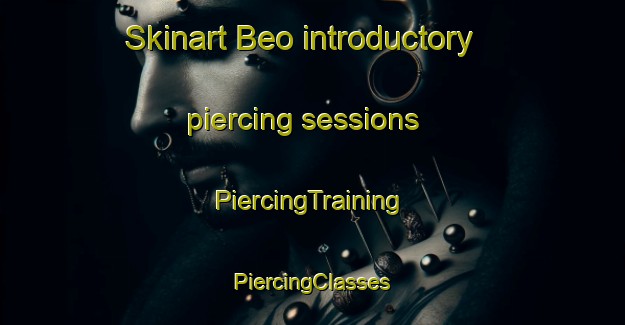 Skinart Beo introductory piercing sessions | #PiercingTraining #PiercingClasses #SkinartTraining-Italy