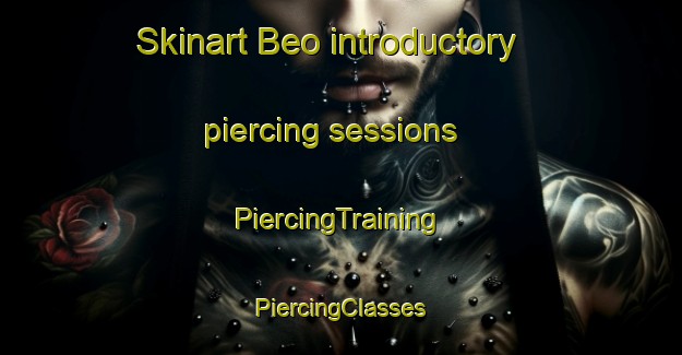 Skinart Beo introductory piercing sessions | #PiercingTraining #PiercingClasses #SkinartTraining-Italy