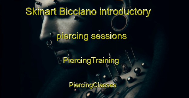 Skinart Bicciano introductory piercing sessions | PiercingTraining | PiercingClasses | SkinartTraining-Italy