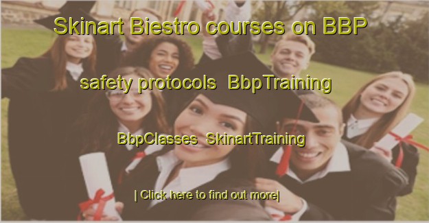 Skinart Biestro courses on BBP safety protocols | BbpTraining | BbpClasses | SkinartTraining-Italy