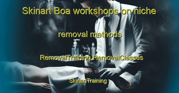 Skinart Boa workshops on niche removal methods | #RemovalTraining #RemovalClasses #SkinartTraining-Italy