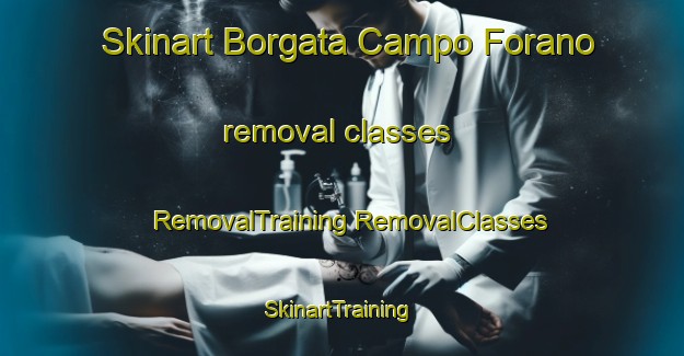 Skinart Borgata Campo Forano removal classes | #RemovalTraining #RemovalClasses #SkinartTraining-Italy