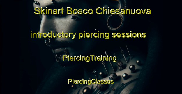 Skinart Bosco Chiesanuova introductory piercing sessions | #PiercingTraining #PiercingClasses #SkinartTraining-Italy