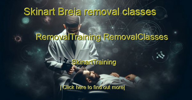 Skinart Breia removal classes | #RemovalTraining #RemovalClasses #SkinartTraining-Italy