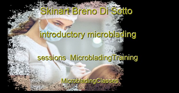 Skinart Breno Di Sotto introductory microblading sessions | #MicrobladingTraining #MicrobladingClasses #SkinartTraining-Italy